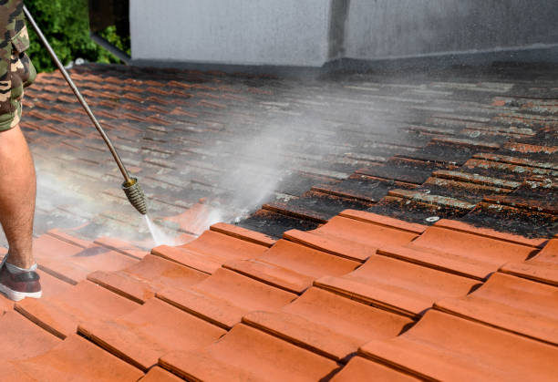 Best Local Pressure Washing Services  in Arden On The Severn, MD